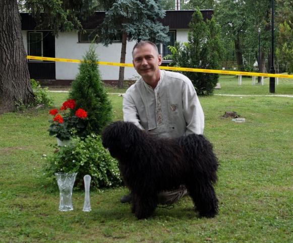 Ipolyréti Vidám Cohárd, fekete kan-black male/ junior class/ Kitűnő 1., HPJ,  Fiatal Klubgyőztes-Junior Club Winner,  Junior Winner of the Best in Show