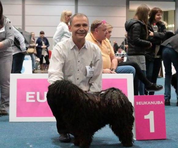 Lipcse, World Dog Show 2017 - nyílt osztály K1, VDH-CAC