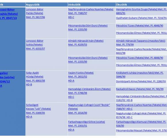 törzskönyv/pedigree