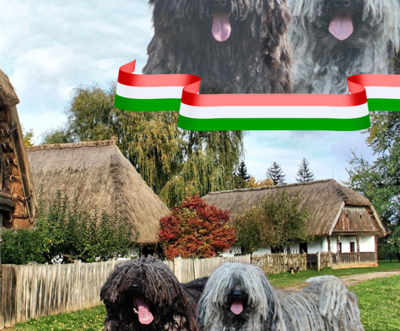 Ipolyréti Vidám SZ-alom, szülők