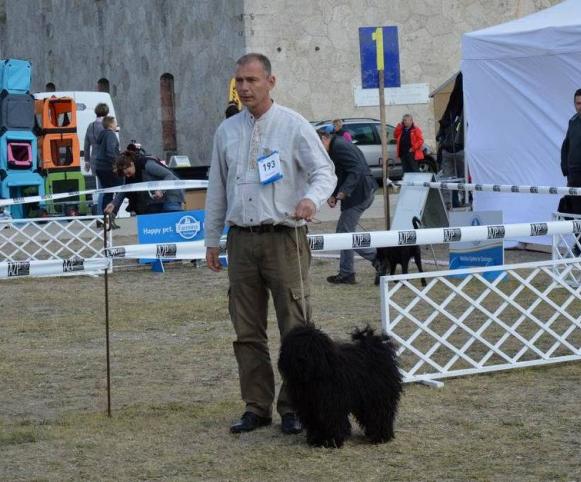 Cinóberrel a komáromi CACIB kiállításon